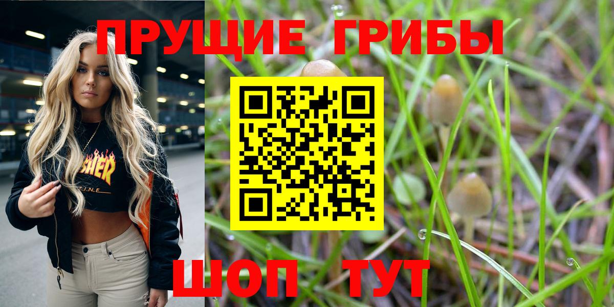 Галлюциногенные грибы прущие грибы Абакан